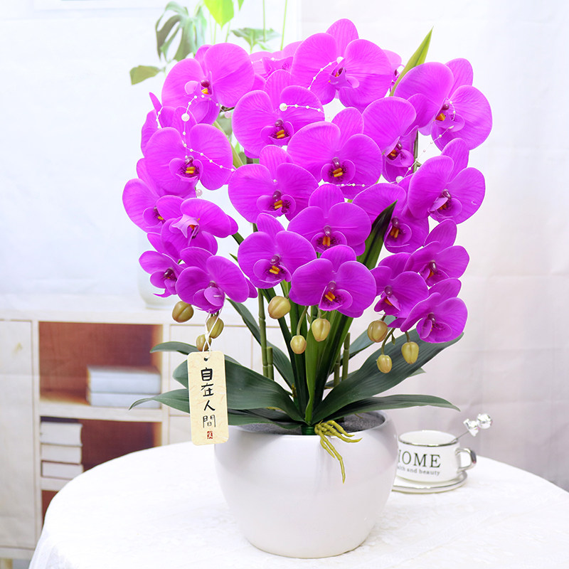 仿真花高档保湿手感蝴蝶兰客厅酒柜装饰花电视柜茶几假花摆设盆景