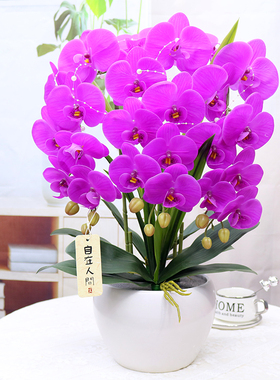 仿真花高档保湿手感蝴蝶兰客厅酒柜装饰花电视柜茶几假花摆设盆景