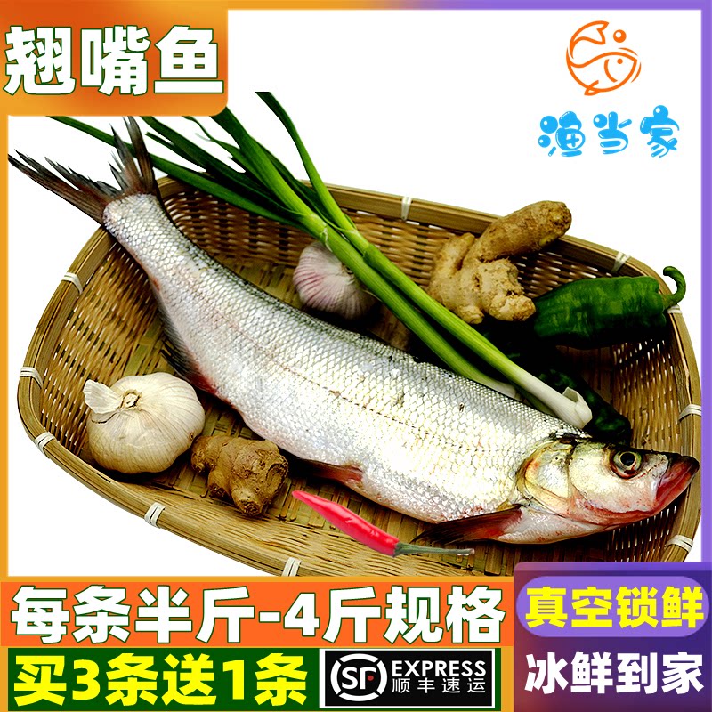 翘嘴鱼湖北特产鲜活刁子鱼翘壳鱼大白刁白鱼新鲜鱼现杀现发包邮