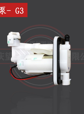 布雷斯通G3汽油泵总成Brixton cromwell gasoline pump assembly