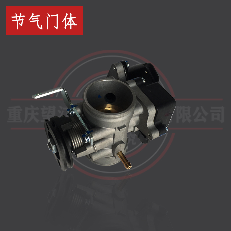 天地游侠-布雷斯通节气门体