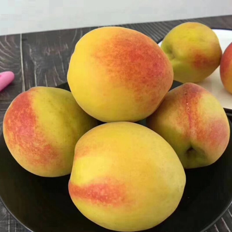 枣阳桃子新鲜黄金蜜脆甜整箱5斤湖北当季水果露天不套袋早熟黄桃