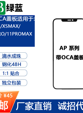 一体盖板带OCA胶适用XXSmaxXR11proMax12pro13pro13mini14PRO支架