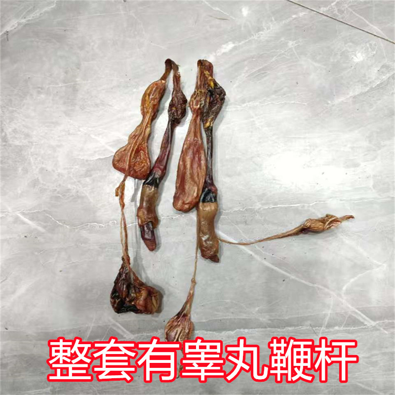 狗鞭带睾丸整根海鞭干货泡酒料