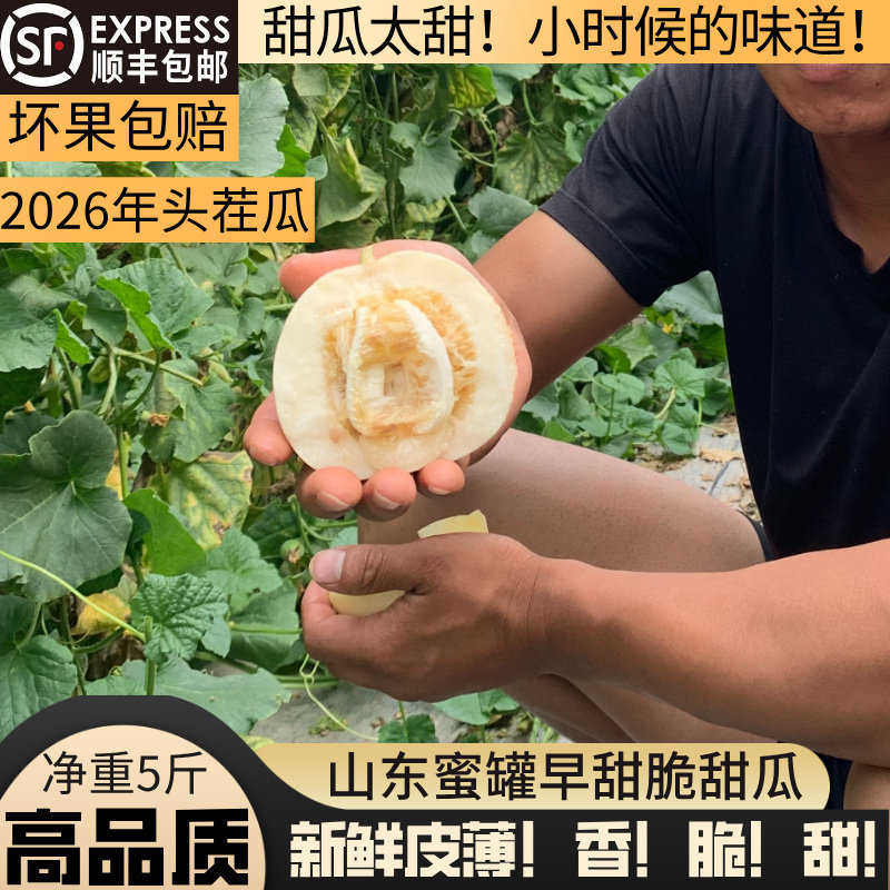 蜜罐甜瓜香瓜金乡白梨瓜早甜脆新鲜水果当季现摘小蜜蜂星甜20糖罐
