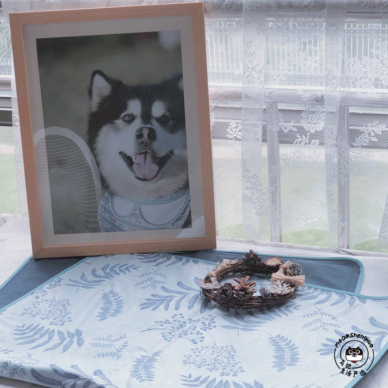 Equal pets日本宠物冰垫狗凉席垫子夏季狗窝猫咪凉垫宠物降温