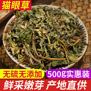 中药材 野生猫眼草泽漆耳叶大戟猫耳眼 猫儿草新鲜干货 500克包邮