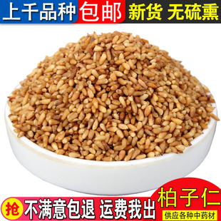 柏子仁500克包邮正品新货去壳柏子仁 柏子仁干柏子仁粉优质中药材