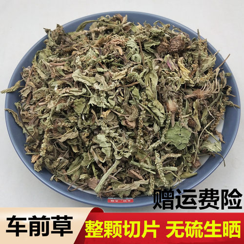 手工精选天然中草药车前草