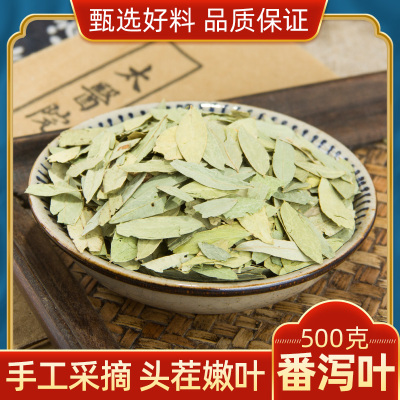 天然500g包邮中药材粉番泻叶