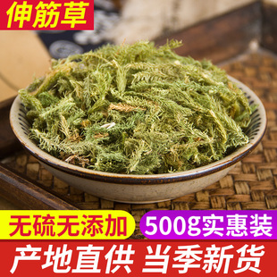 伸筋草500克正品中药材小伸筋草舒筋草泡脚另售透骨草远志益智仁