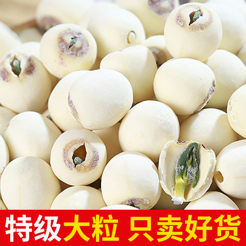 特级大粒带芯莲子干货原色无硫