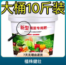 新型蔬菜专用肥料黄瓜西红柿韭菜白菜萝卜果蔬绿植复合肥颗粒化肥