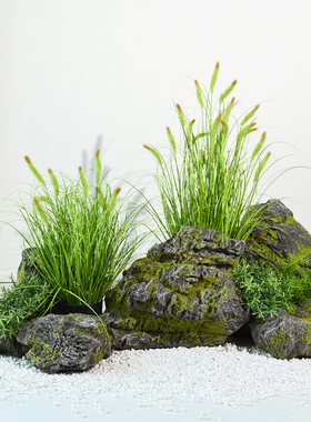 苔藓石头仿真假石头商场橱窗民宿假山装饰岩石造景摆件泡沫青苔石