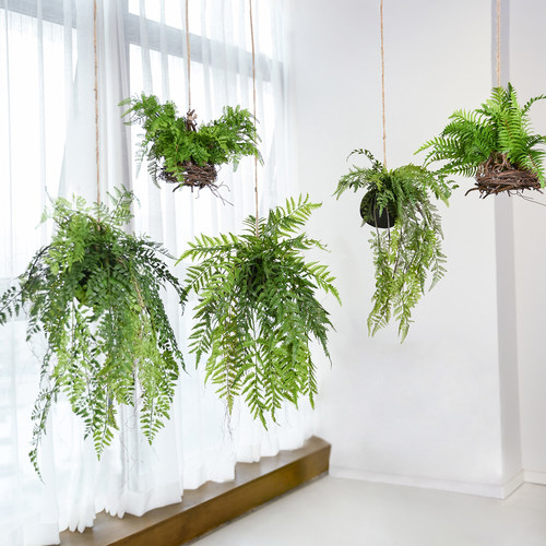 仿真植物悬挂装饰吊饰绿植盆栽