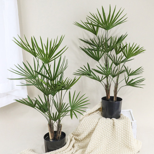 仿真金山棕榈树扇葵蒲葵树摆件