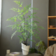仿真九里香蕨叶盆栽橱窗落地装 饰线条蕨类植物盆景造景假绿植摆件