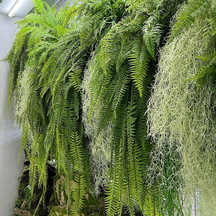 仿真垂吊植物凤尾蕨波斯藤条壁挂墙面装饰绿植吊篮假藤蔓叶子造景,家居饰品,仿真花/假花,淘宝优惠券,粉丝福利购,淘宝优惠卷