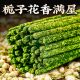 天然栀子花瓣香薰手搓玫瑰纯手工阿根廷线香桂花棒香秘鲁圣木留香