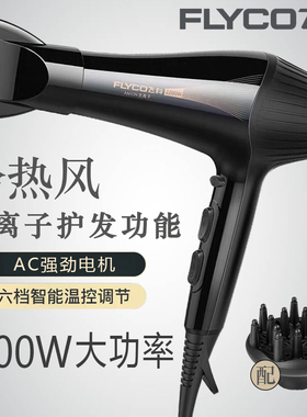 飞科电吹风FH6101发廊专用吹风机负离子不伤发家庭式大功率2200W