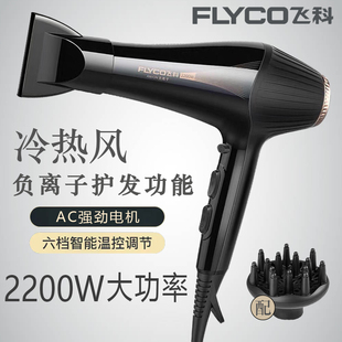 飞科电吹风FH6101发廊专用吹风机负离子不伤发家庭式 大功率2200W