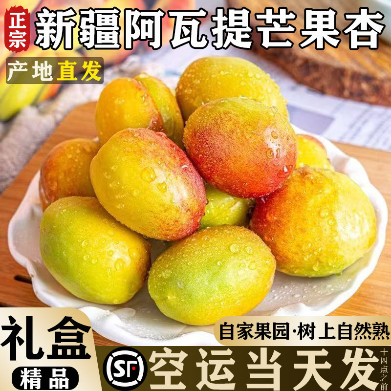 新疆阿瓦提芒果杏大梨杏红杏甜个头大多汁应季新鲜孕妇水果空运