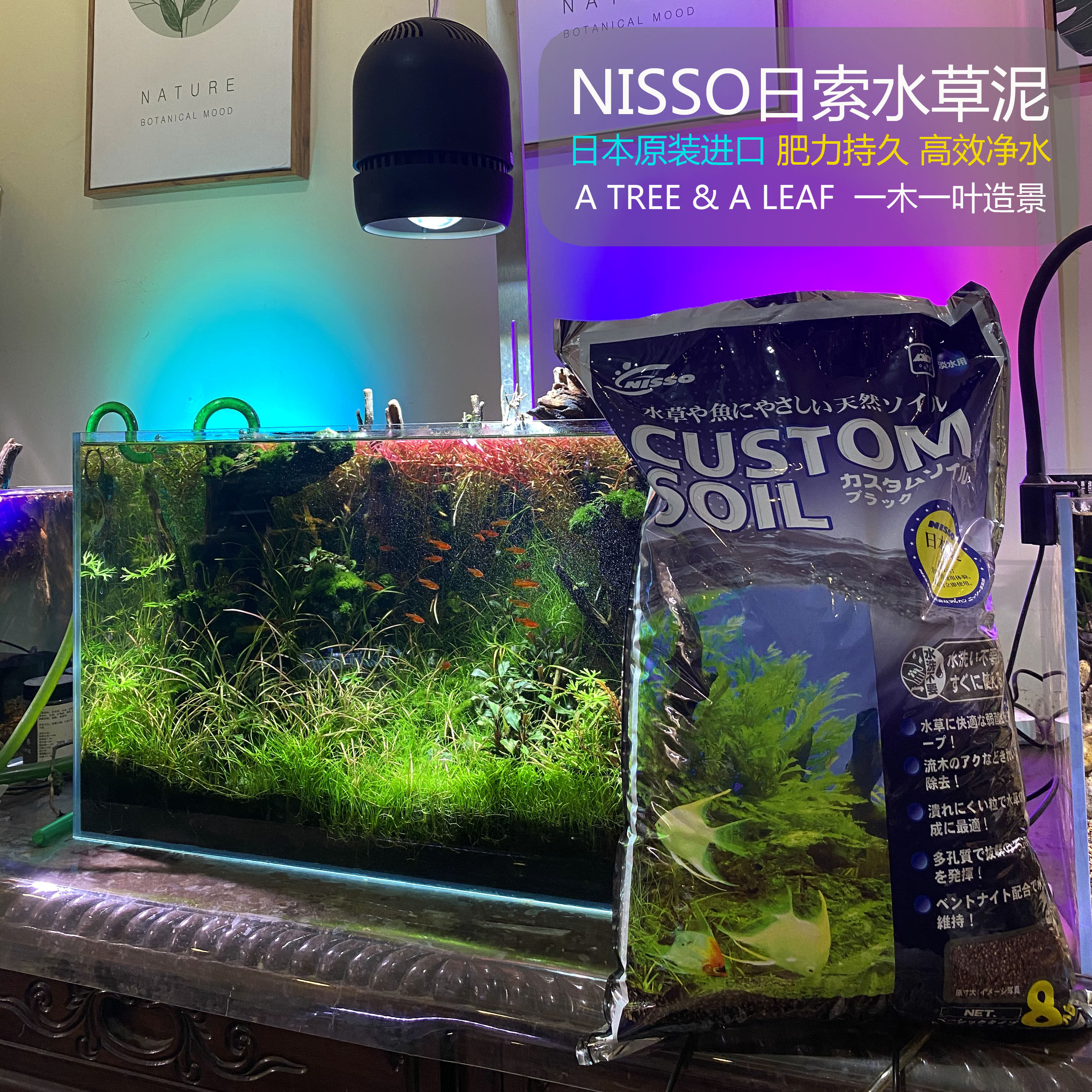 日本水草泥价格 日本水草泥图片 星期三