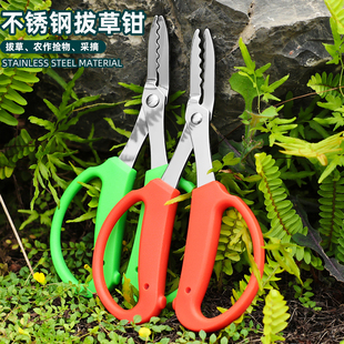园艺工具不锈钢叶芽钳全不锈钢园艺剪嫩芽修枝小枝盆景拔草钳子