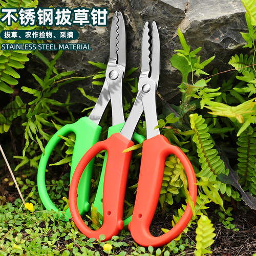 园艺工具不锈钢叶芽钳