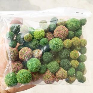 Grass Shrub Bush 30pcs Cluster Simulation Flower Model