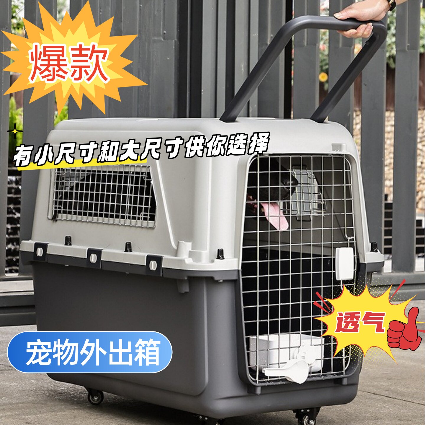 狗航空箱大号宠物托运箱便携
