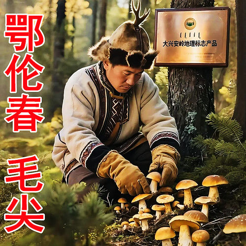 奇鲜250克鄂伦春毛尖磨小菇丁