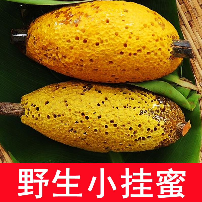 云南野生小挂蜜蜂巢蜜纯正嚼着吃500克天然土蜂蜜农家自产百花蜜