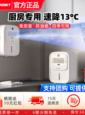 德国蓝宝第二代厨房冰雾扇家用