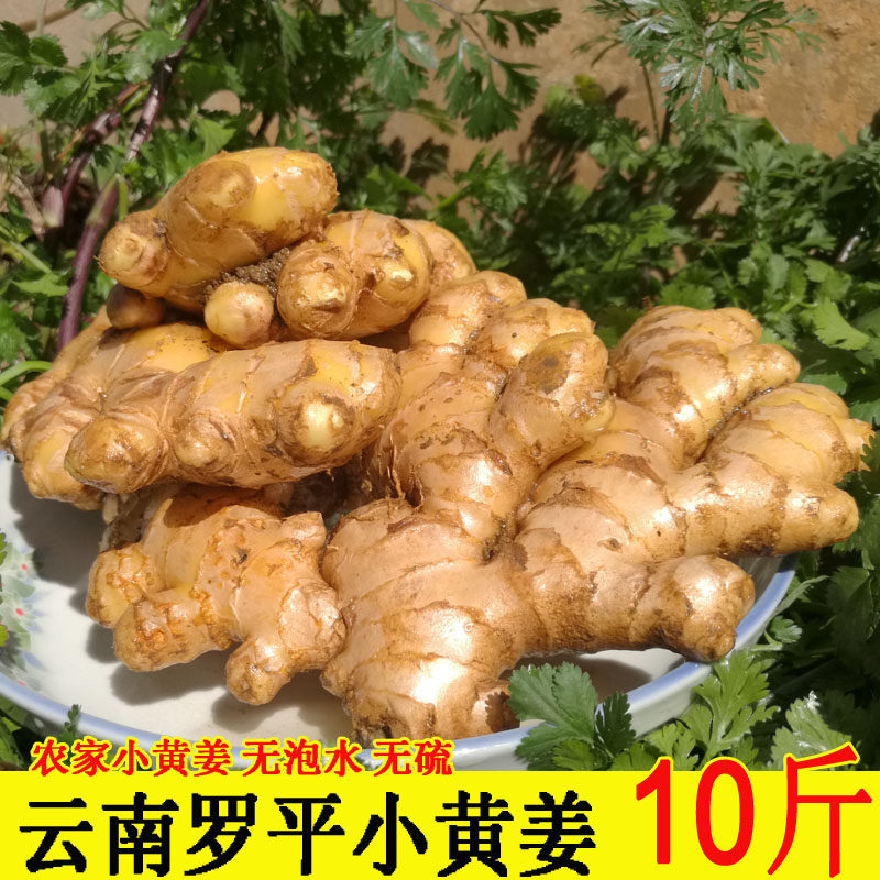 云南罗平小黄姜新鲜姜