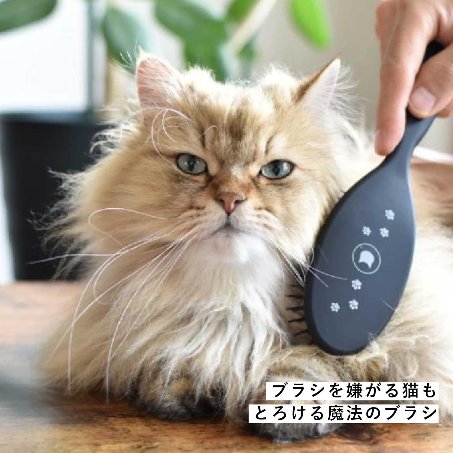 日本制造猫壱魔法梳子软触针+远红外线效果保护毛发
