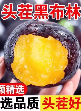 新鲜黑布林李子当季水果脆李黑金刚黄肉黑布李整箱
