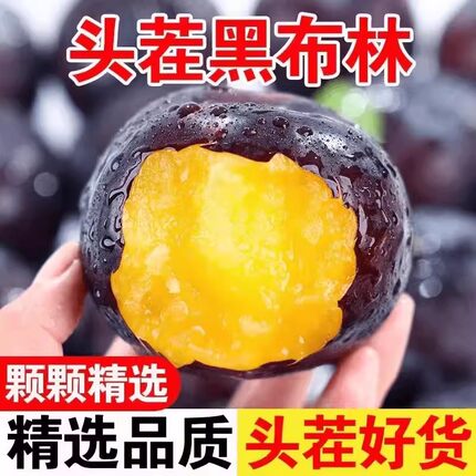 新鲜黑布林李子当季水果脆李黑金刚黄肉黑布李整箱