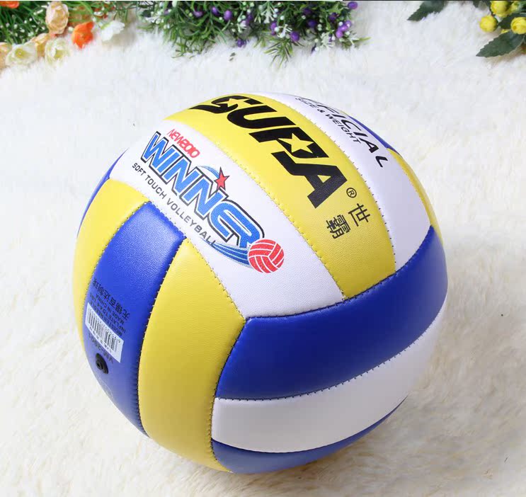 Ballon de volley - Ref 2010224 Image 4