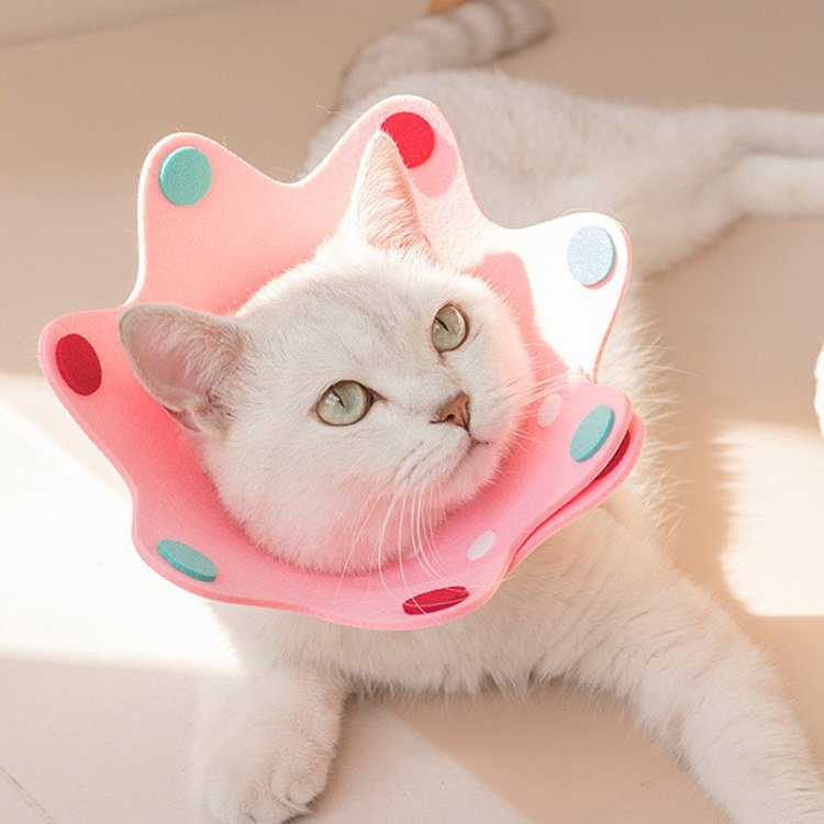 伊丽莎白圈毛毡宠物可调节项圈薄软轻脖圈术后恢复防舔防咬耻辱圈,宠物/宠物食品及用品,宠物伊丽莎白圈,淘宝优惠券,粉丝福利购,淘宝优惠卷