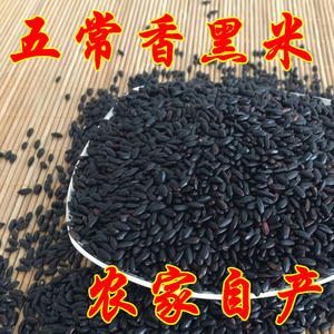 黑米 新米东北黑龙江五常农家自产稻花香黑米农家黑大米香米500g