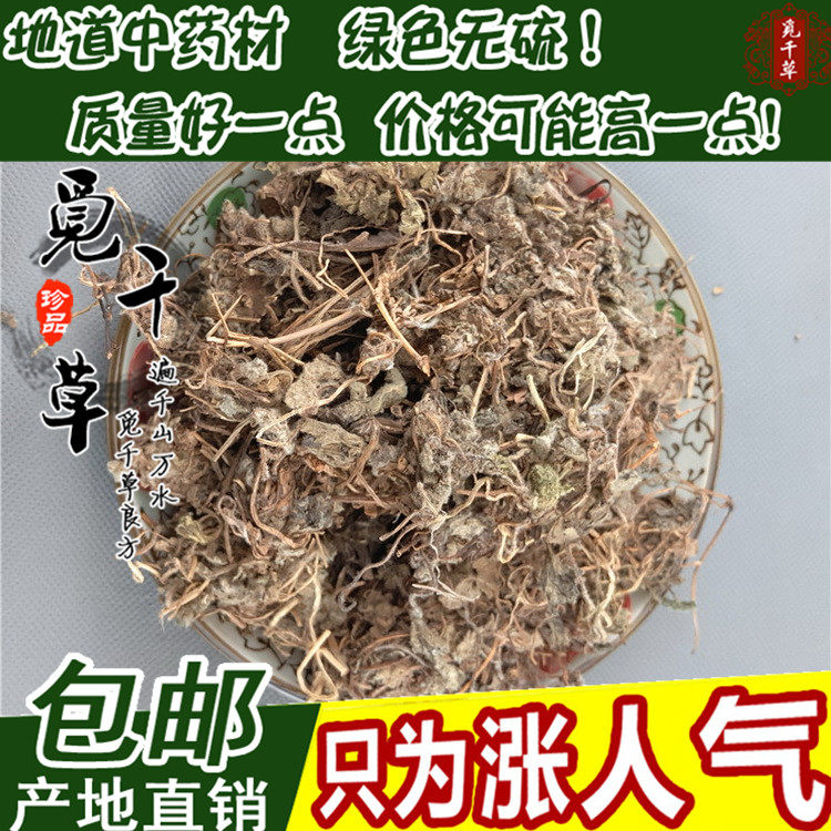 中药材蛇含草 天然蛇衔 紫背草  五匹风 五爪龙 委陵菜500克包邮