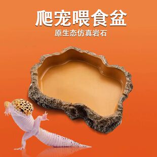 爬宠树脂造景爬宠喂食盆守宫蜥蜴角蛙 食盘水龟寄居蟹泡澡盆