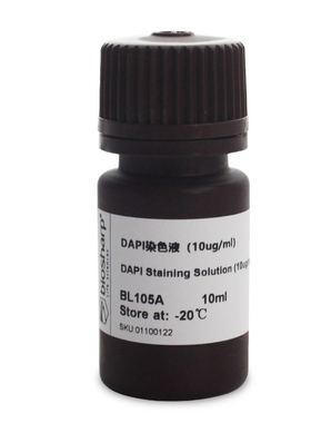 BL105A DAPI溶液 即用型 CAS  28718-90-3 细胞染色用科研 白鲨