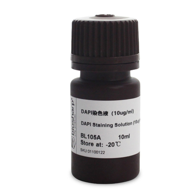 BL105ADAPI溶液即用型细胞染色