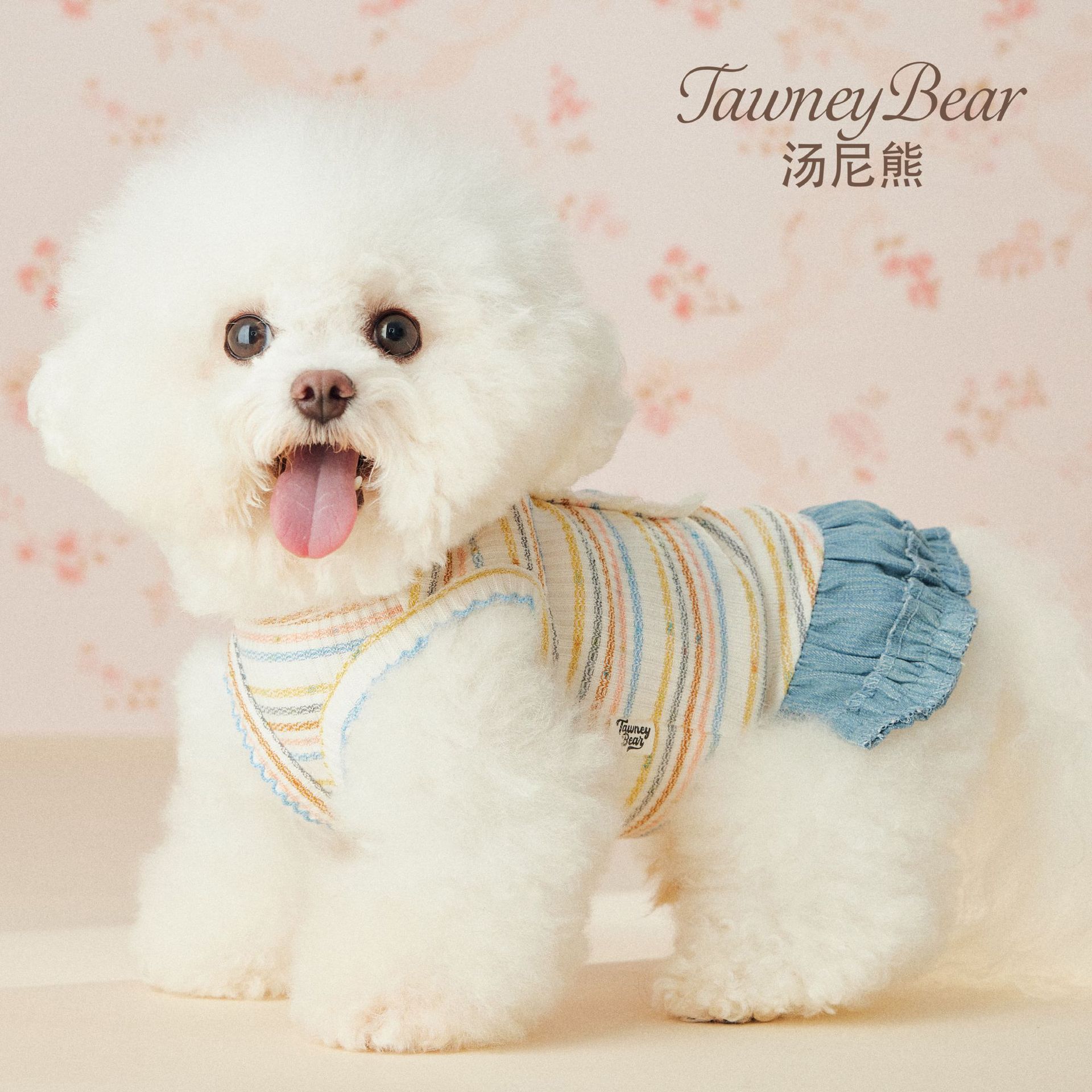 汤尼熊狗狗衣服雪纳瑞比熊泰迪秋狗宠物服装/雨衣