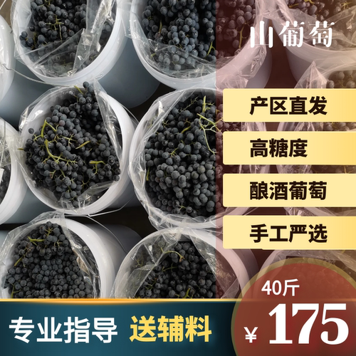 酿酒葡萄山葡萄赤霞珠