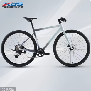 xds喜德盛2026款极速500平把公路车碳纤维前叉10速油碟超轻自行车