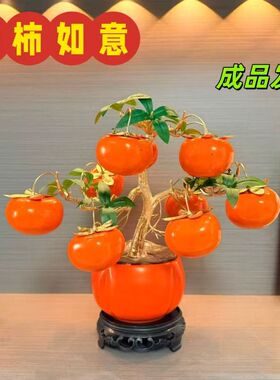 家居饰品摆件元旦春节新年柿子摆件客厅家居饰品喜庆摆件新款仿真