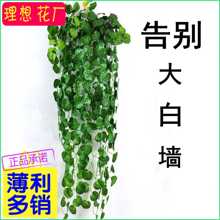 装饰垂吊仿真绿植植物假花藤条绿箩叶子室内挂墙塑料壁挂绿萝吊兰